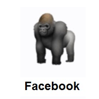 Gorilla on Facebook