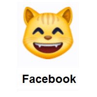 Grinning Cat Face With Smiling Eyes on Facebook
