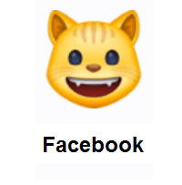 Grinning Cat on Facebook