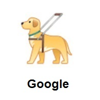 Guide Dog on Google Android