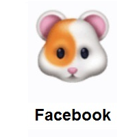 Hamster on Facebook