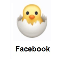 Hatching Chick on Facebook