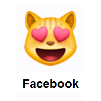 Heart Eyes Cat on Facebook