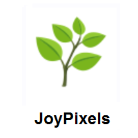 Herb on JoyPixels