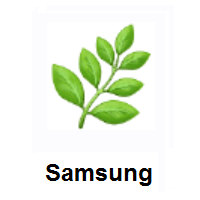 Herb on Samsung