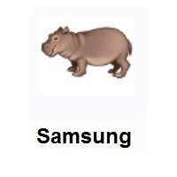 Hippopotamus on Samsung