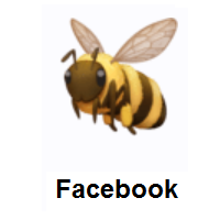Honeybee on Facebook