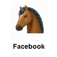 Horse Face on Facebook