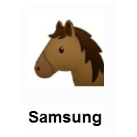Horse Face on Samsung