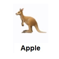 Kangaroo on Apple iOS