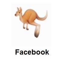 Kangaroo on Facebook