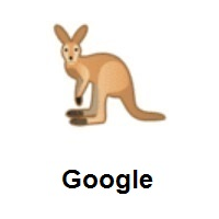 Kangaroo on Google Android