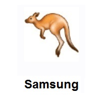 Kangaroo on Samsung