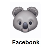 Koala on Facebook