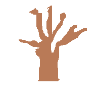 Leafless Tree