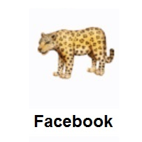 Leopard on Facebook
