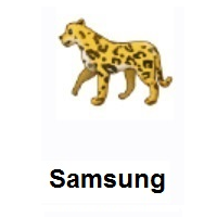 Leopard on Samsung