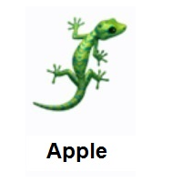 Lizard on Apple iOS