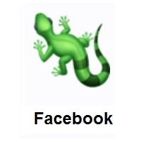Lizard on Facebook