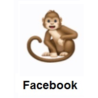 Monkey on Facebook