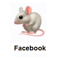 Mouse on Facebook