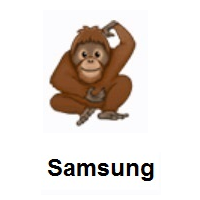 Orangutan on Samsung