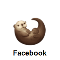 Otter on Facebook