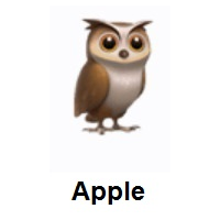 Owl on Apple iOS