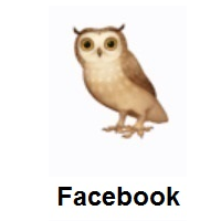 Owl on Facebook