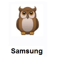 Owl on Samsung
