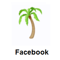 Palm Tree on Facebook