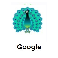 Peacock on Google Android
