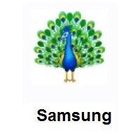 Peacock on Samsung