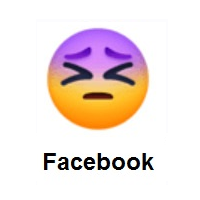 Persevering Face on Facebook