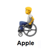 Person In Manual Wheelchair on Apple iOS