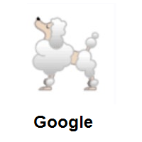 Poodle on Google Android