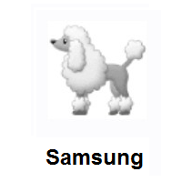 Poodle on Samsung