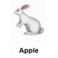 Rabbit on Apple iOS