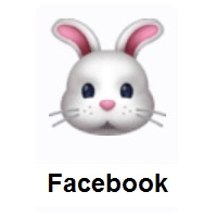 Rabbit Face on Facebook