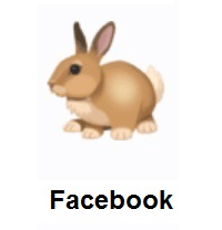 Rabbit on Facebook