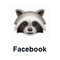Raccoon on Facebook