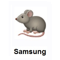 Rat on Samsung