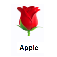 Rose on Apple iOS