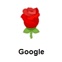 Rose on Google Android