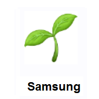Seedling on Samsung