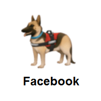 Service Dog on Facebook