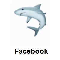 Shark on Facebook