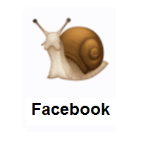 Snail on Facebook