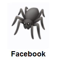 Spider on Facebook