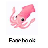 Squid on Facebook